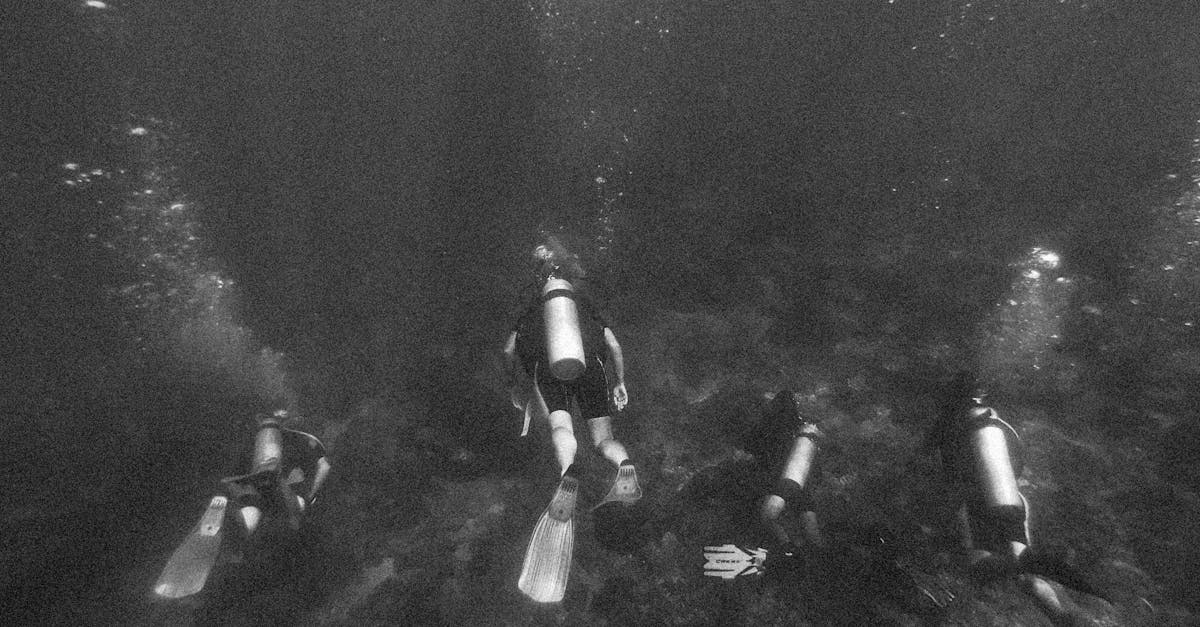 Divers preparing for a reef dive with a guide briefing near calm tropical water.