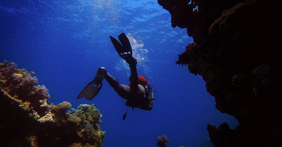 Dive Travel Planning Guides hub image for Dive Nomadic.