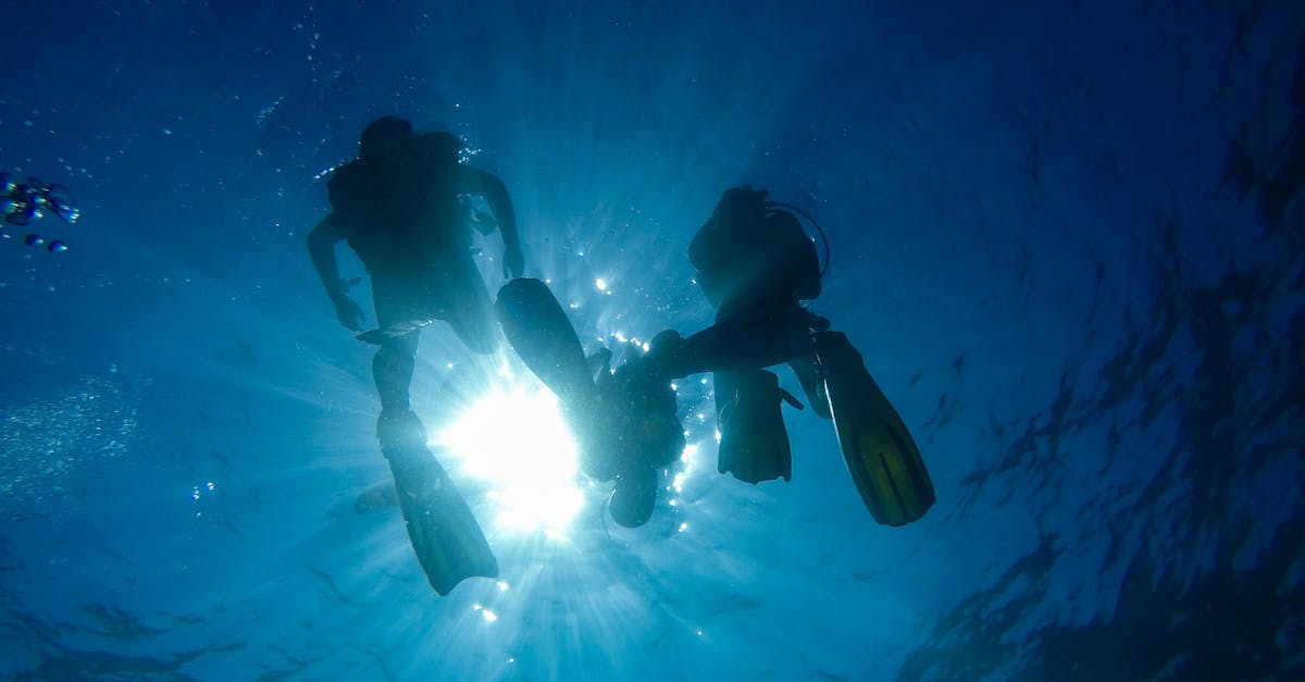 Dive Trip Cancellation Questions To Ask Before Paying A Deposit contextual article image for Dive Nomadic.