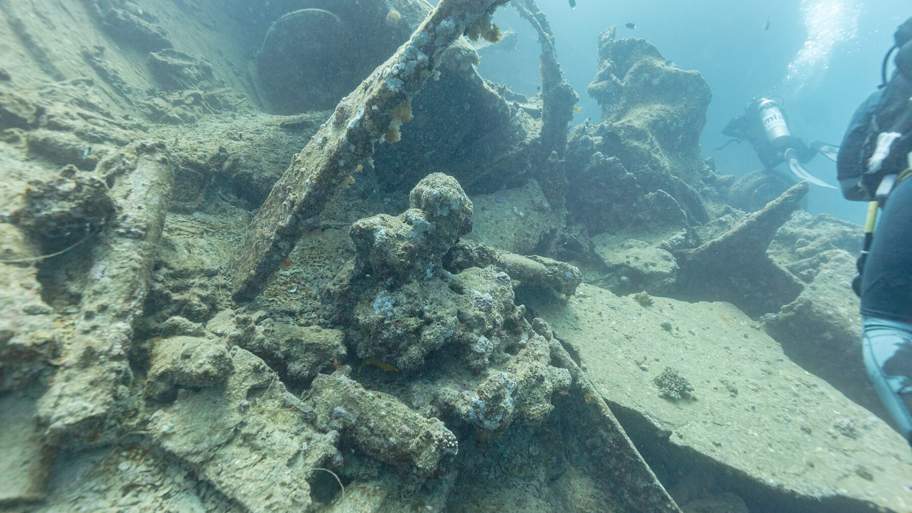 Diver over the SS Thistlegorm wreck in the Red Sea.