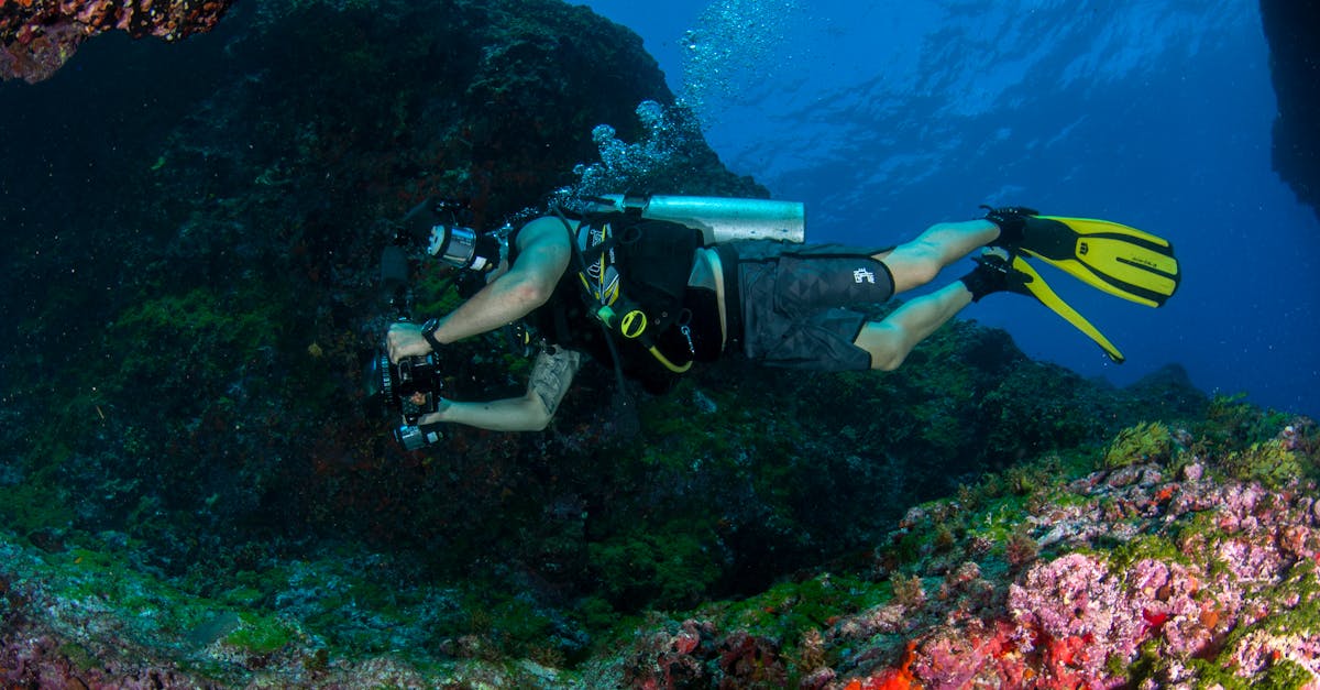 A Practical First Dive Trip Planning Checklist editorial image for Dive Nomadic.