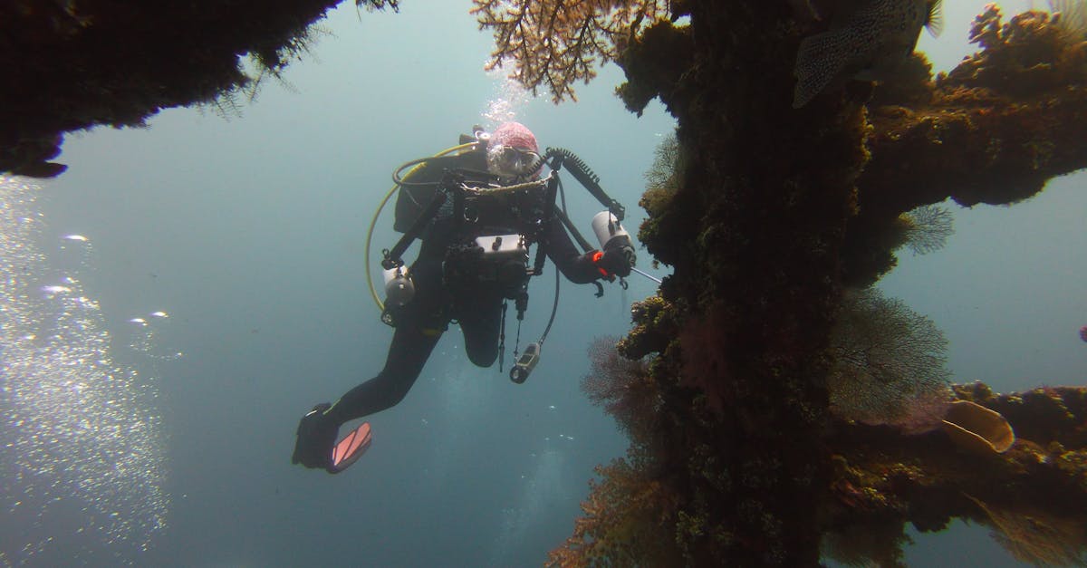 Liveaboard vs Dive Resort: How To Choose The Right Dive Trip editorial image for Dive Nomadic.