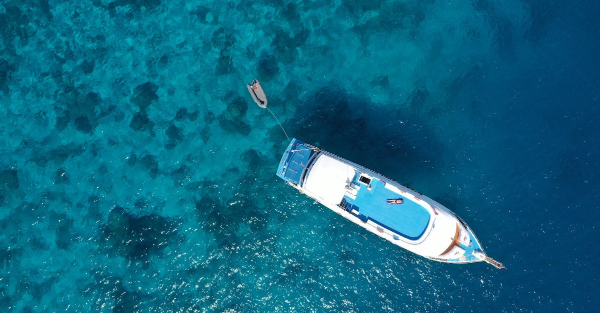 PADI Liveaboard Diving Plan: What To Check Before Booking editorial image for Dive Nomadic.