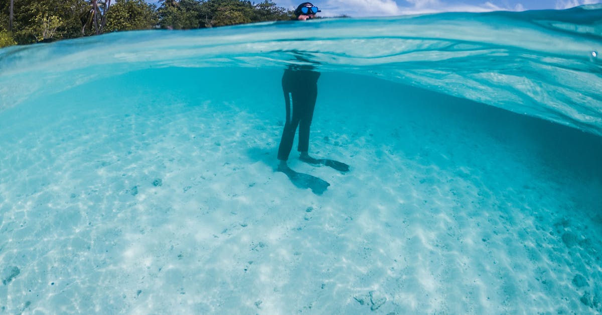 How To Plan Dive Travel Around Seasons, Visibility, And Water Temperature contextual article image for Dive Nomadic.