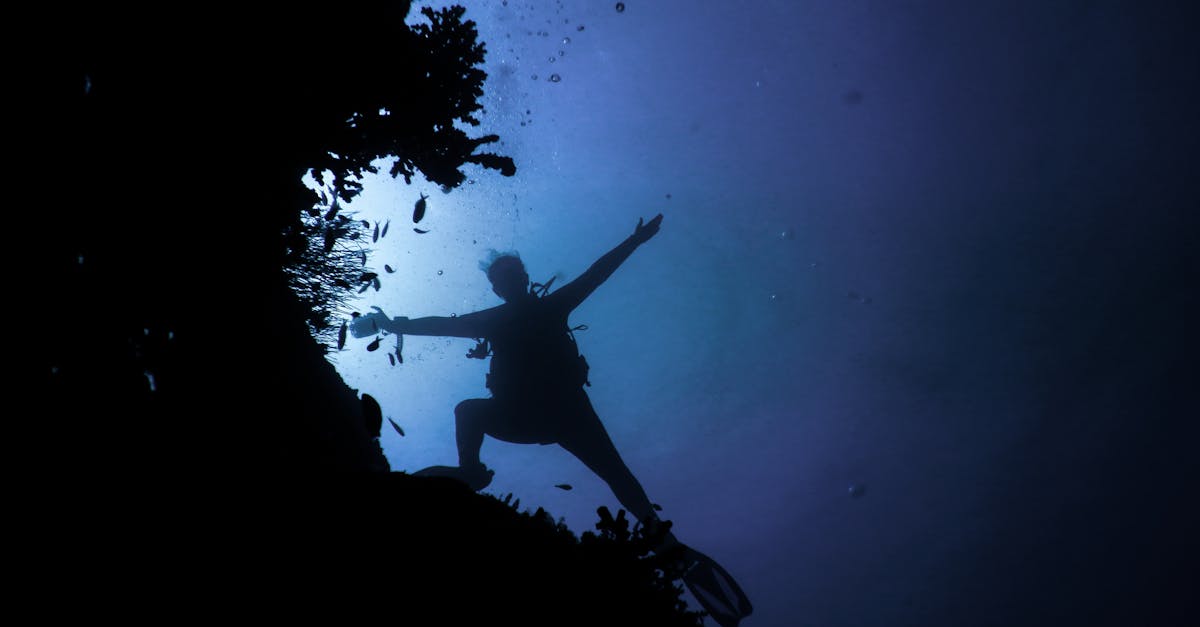 How To Plan A Dive Trip With A Non-Diving Partner contextual article image for Dive Nomadic.