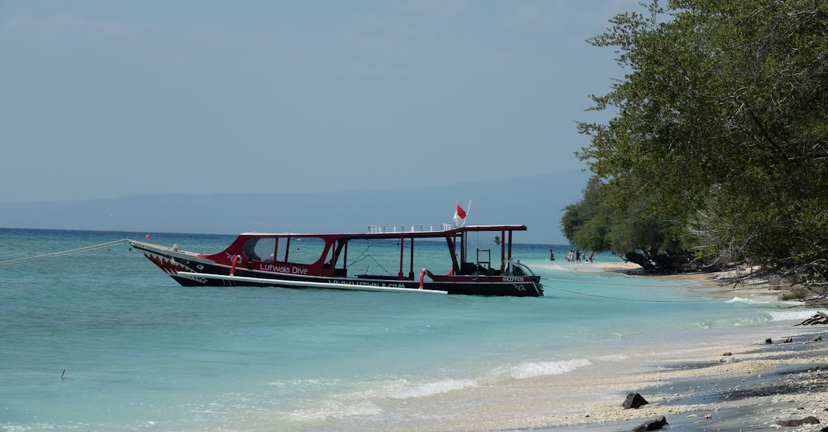 A diver and non-diving travel partner planning a tropical trip near a beach and dive boat.