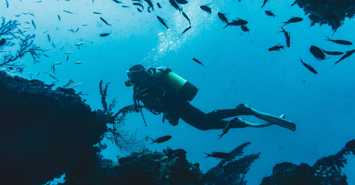 Responsible Dive Tourism Checklist For Reef-Safe Trips contextual article image for Dive Nomadic.