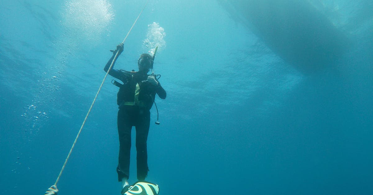 Scuba Certification Agencies Compared For Dive Travelers editorial image for Dive Nomadic.