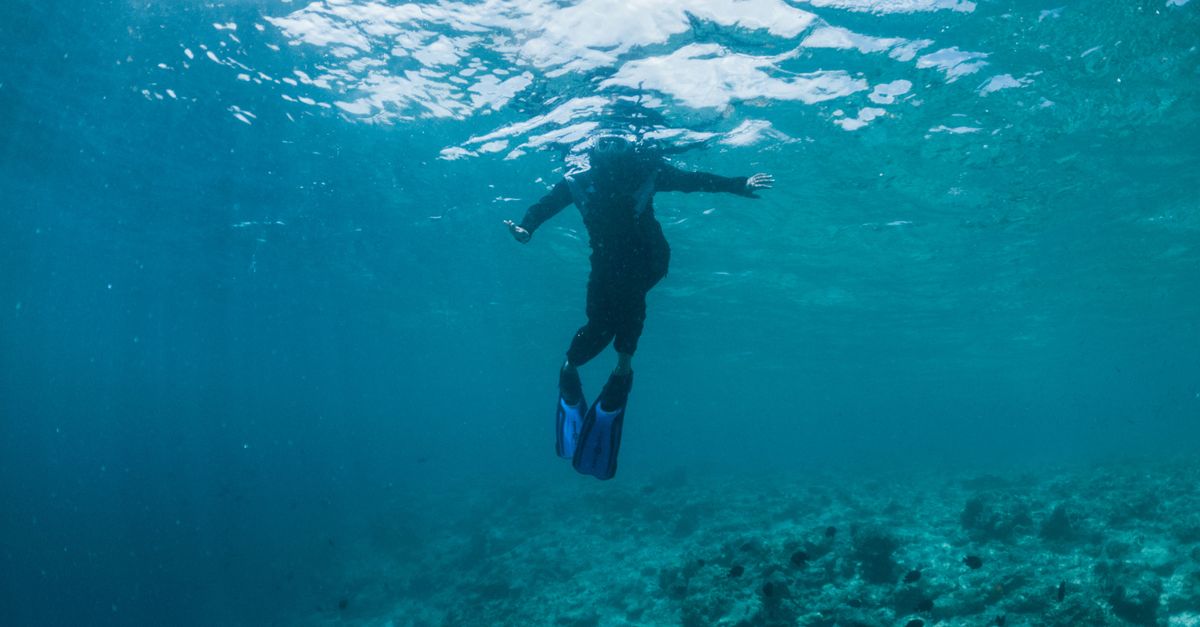 How To Choose A Dive Operator For Your First Dive Trip contextual article image for Dive Nomadic.