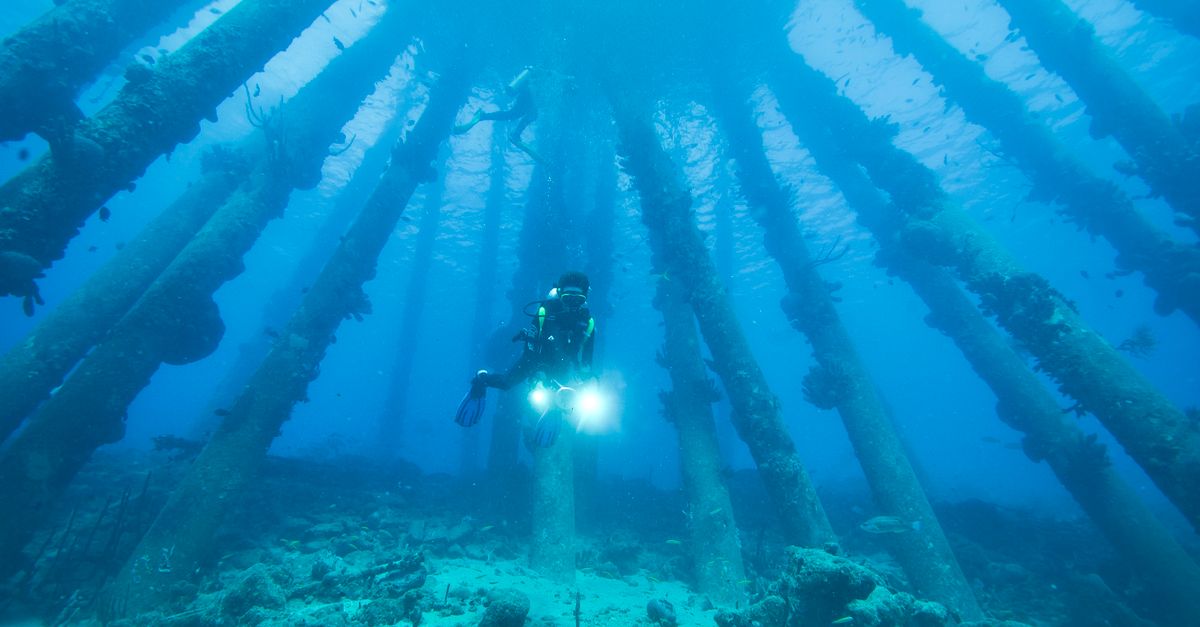 How To Compare Dive Destinations By Skill Level contextual article image for Dive Nomadic.