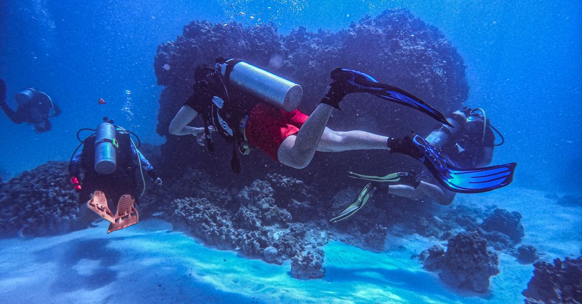 Divers preparing for a reef dive with a guide briefing near calm tropical water.
