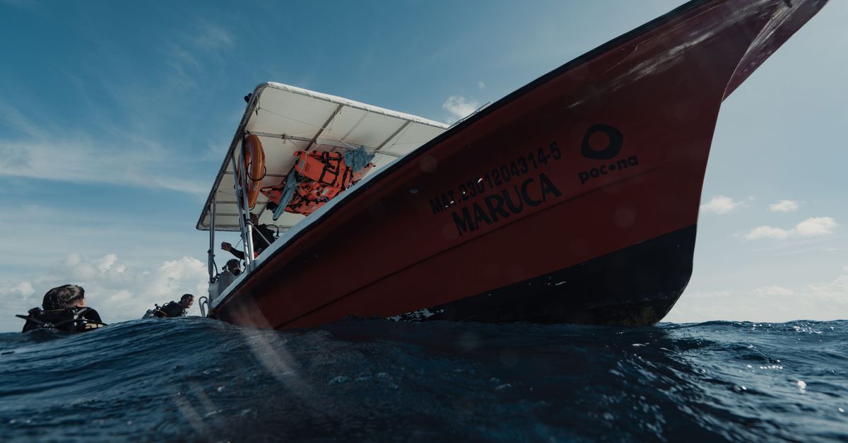 Dive Operator Briefing Questions To Ask Before The First Dive editorial image.