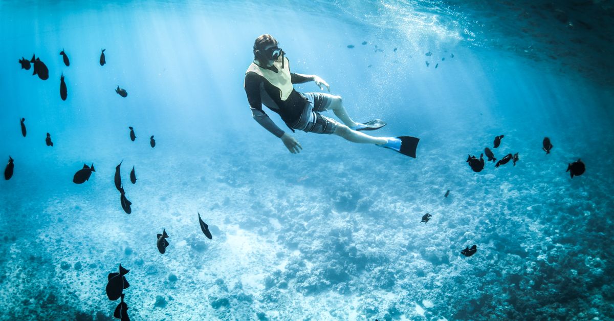Dive Trip Cancellation Questions To Ask Before Paying A Deposit contextual article image for Dive Nomadic.