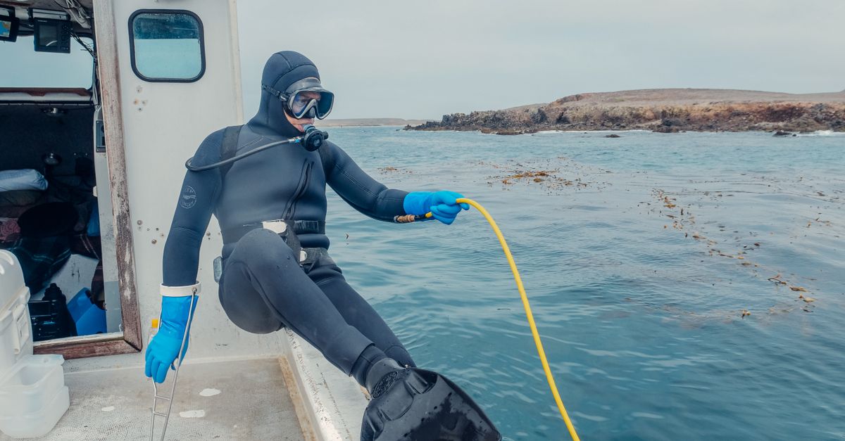 Dive Trip Cancellation Questions To Ask Before Paying A Deposit editorial image for tropical vacation packing list for divers.