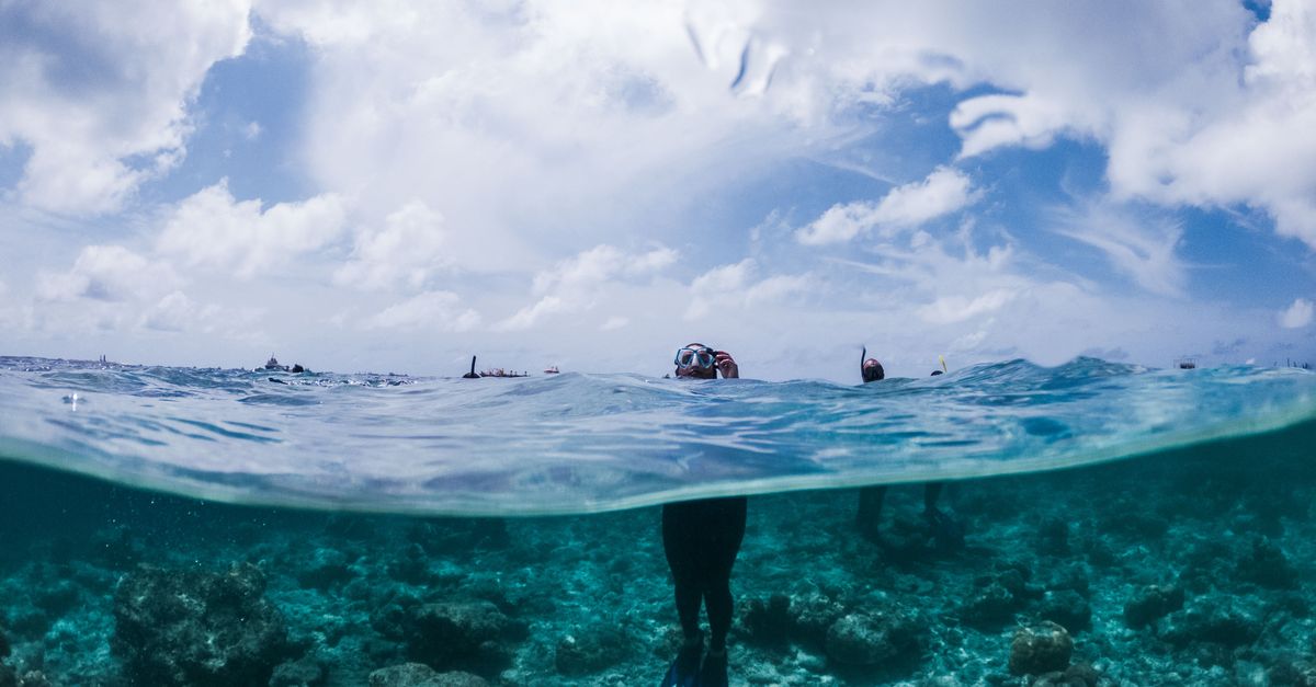 A Dive Trip Weather Backup Plan Before Booking supporting image 1 for Dive Nomadic.