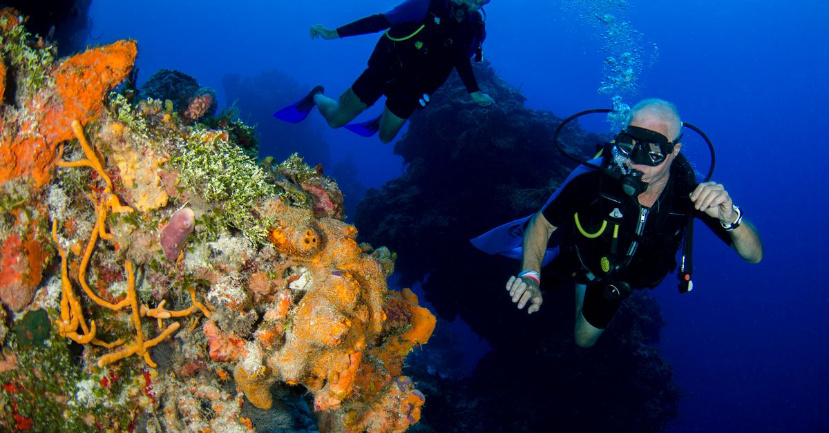 A Dive Trip Weather Backup Plan Before Booking editorial image for Dive Nomadic.