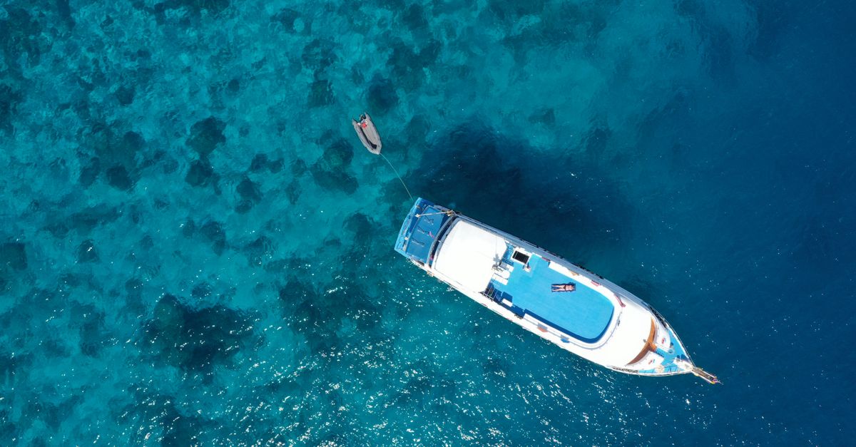 Liveaboard vs Dive Resort: How To Choose The Right Dive Trip editorial image for Dive Nomadic.