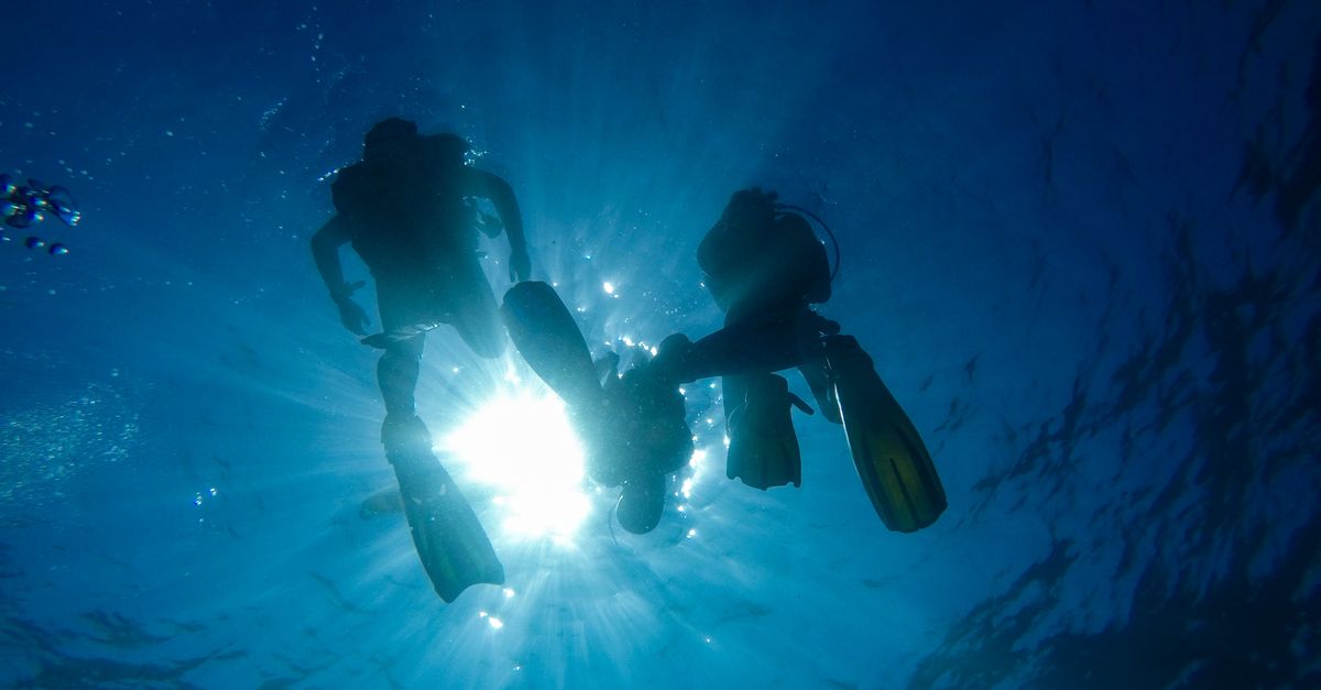 Questions To Ask A Dive Operator Before Booking A Trip contextual article image for Dive Nomadic.