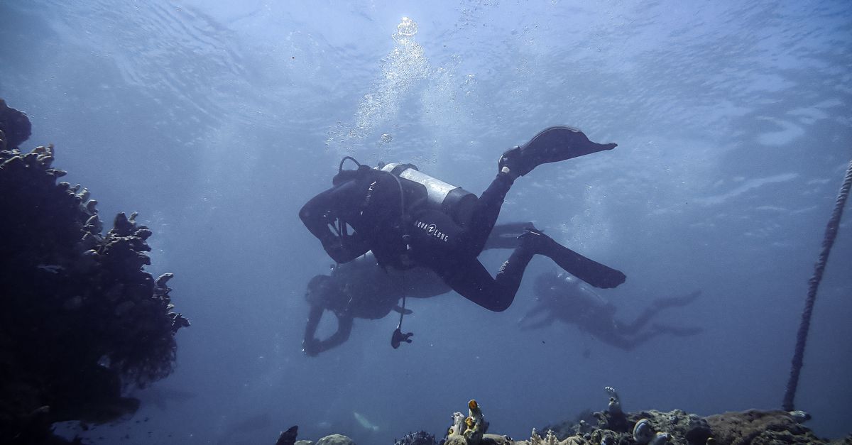 Responsible Dive Tourism Checklist For Reef-Safe Trips editorial image for Dive Nomadic.