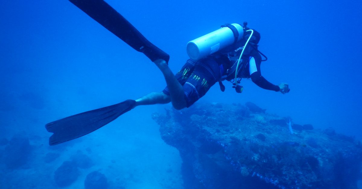 Scuba Certification Agencies Compared For Dive Travelers editorial image for Dive Nomadic.
