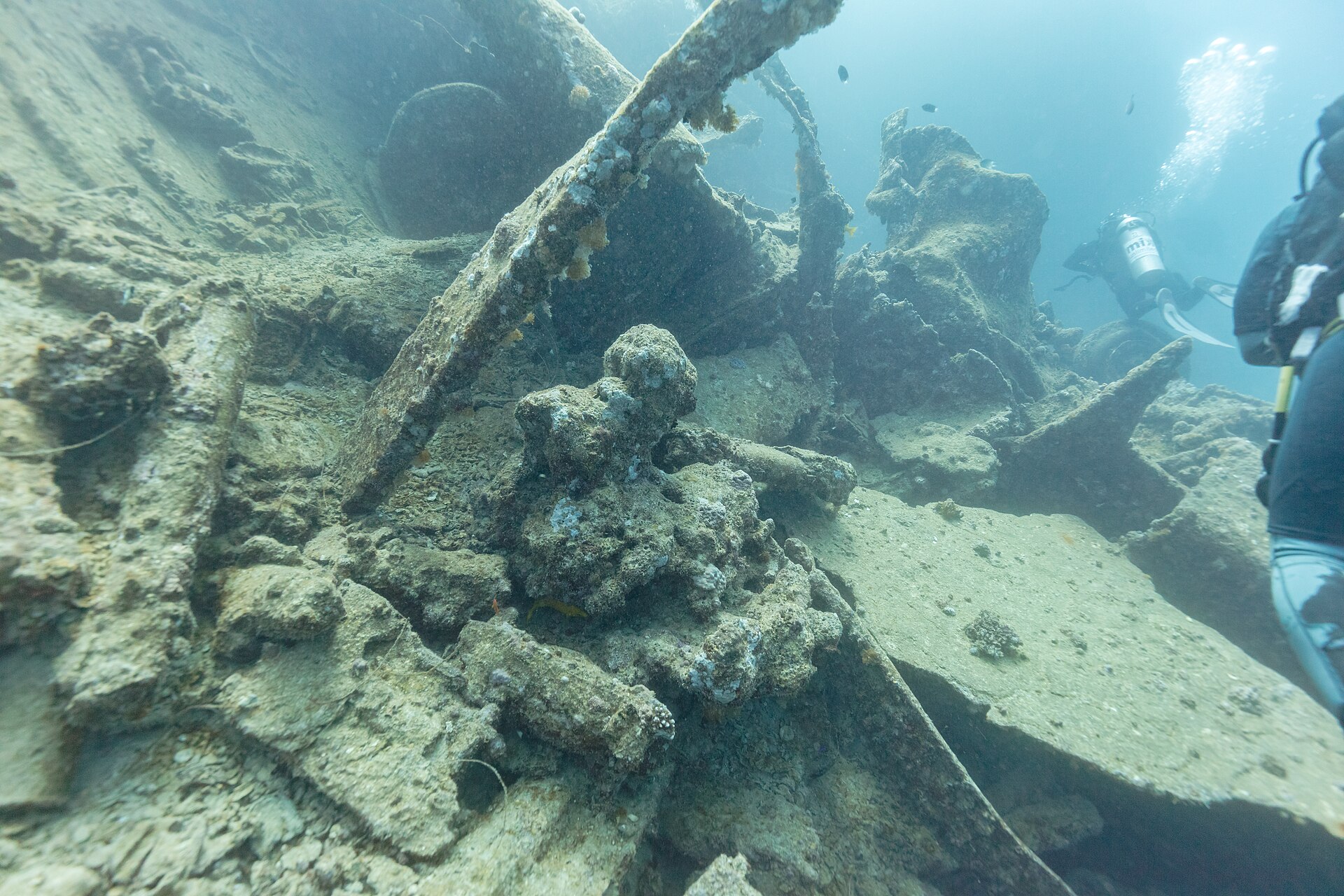 Diver above the SS Thistlegorm wreck in the Red Sea.