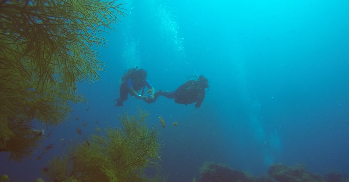 Scuba diver swimming over a rocky Mediterranean reef during a Malta shore dive.