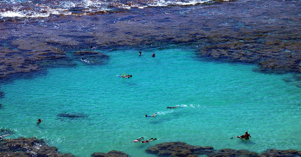 Snorkeller floating in a turquoise lagoon beside a rocky Maltese cove.