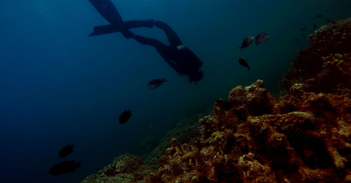 Scuba dive travel planning: a diver notebook with a packing list beside printed flight tickets.