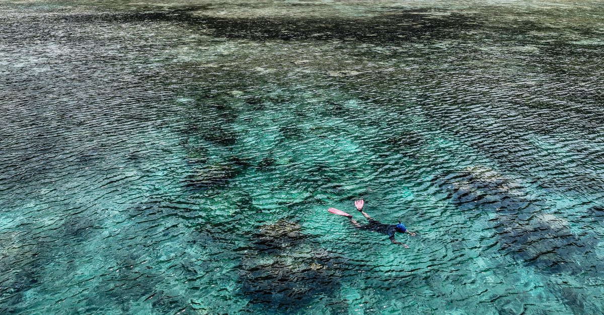 The Tropical Vacation Packing List For Divers
